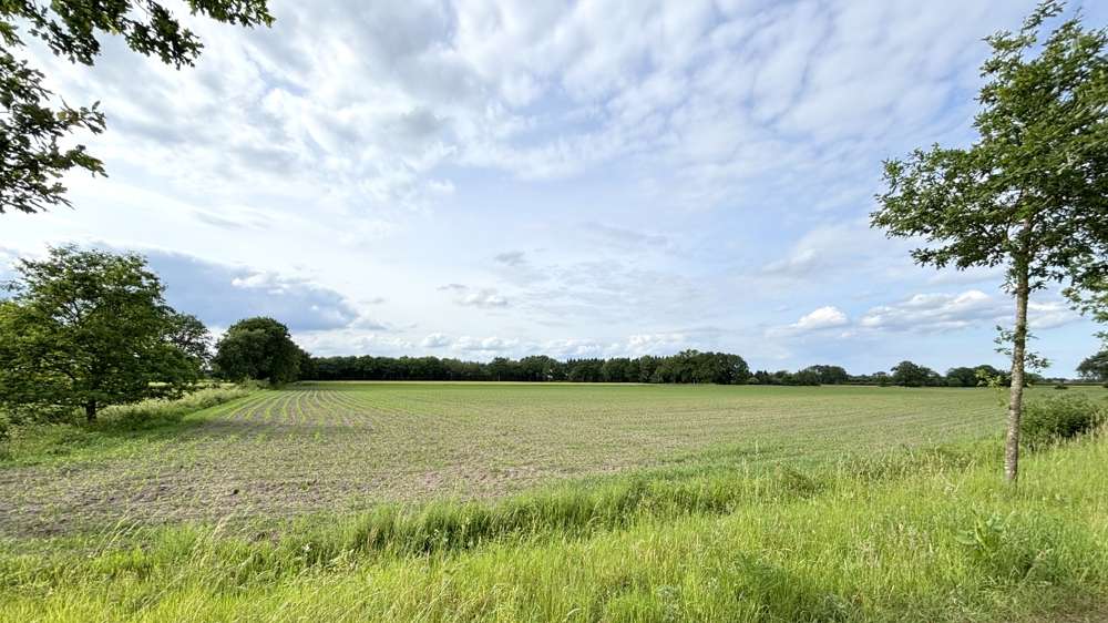 Grundstück Westerstede - 65.000&euro; | Angebot:26963542