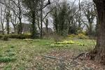 Mehrfamilienhaus, Wohnhaus Rastede Bekhausen - 4 Zimmer, 140 m&sup2;, 295.000&euro; | Angebot:26189574