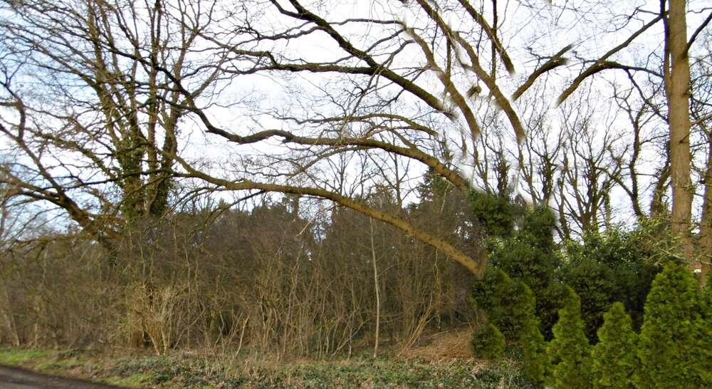 Grundstück zu verkaufen in Petersfehn II 109.000 € 2504 m² zimmer