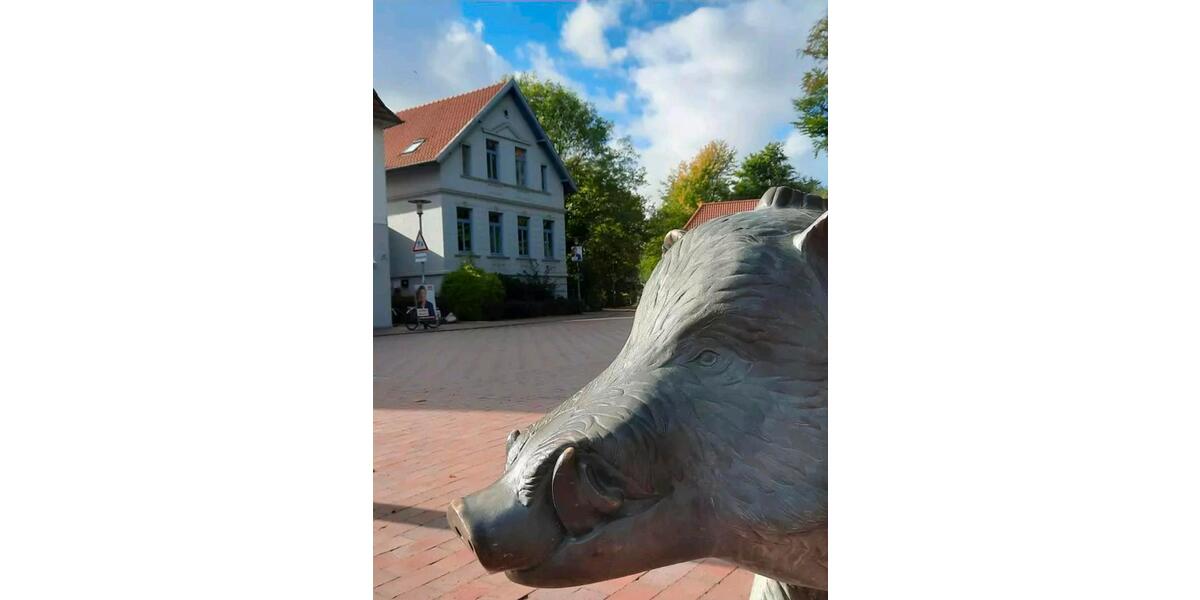 Etagenwohnung Oldenburg Dobbenviertel - 1 Zimmer, 48 m&sup2;, 1.200&euro; | Angebot:26002124