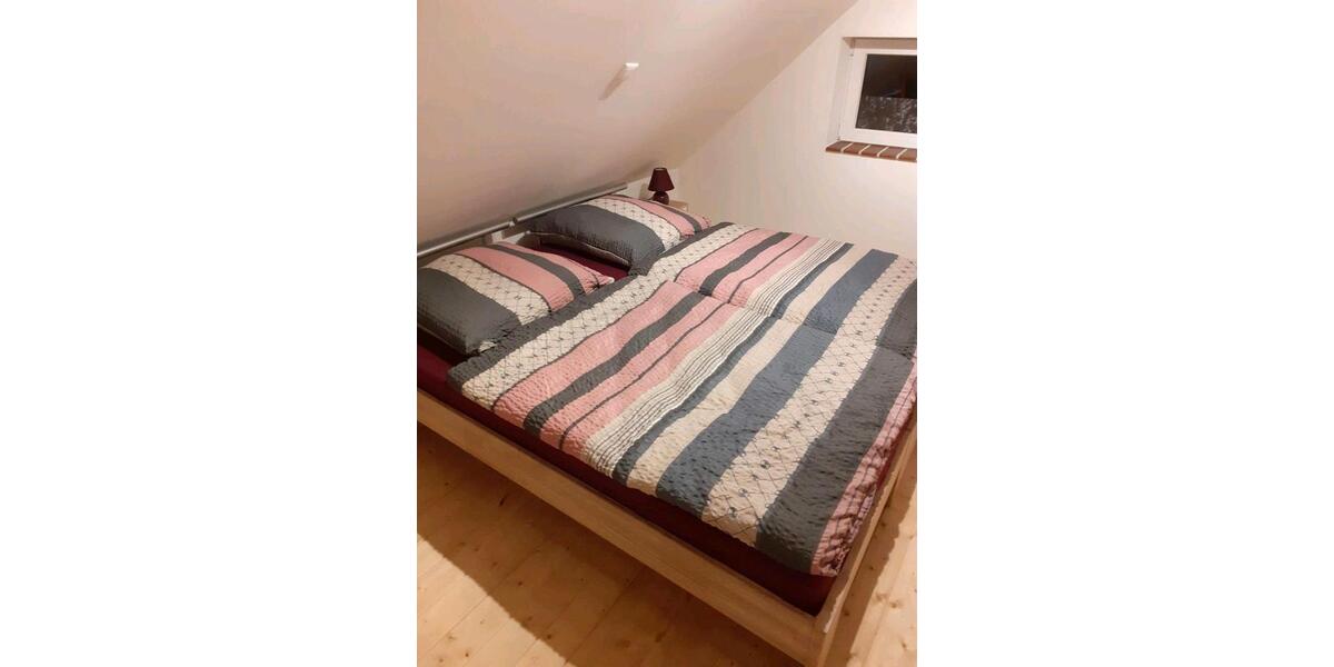 Einfamilienhaus Jade - 2 Zimmer, 60 m&sup2;, 750&euro; | Angebot:26329971