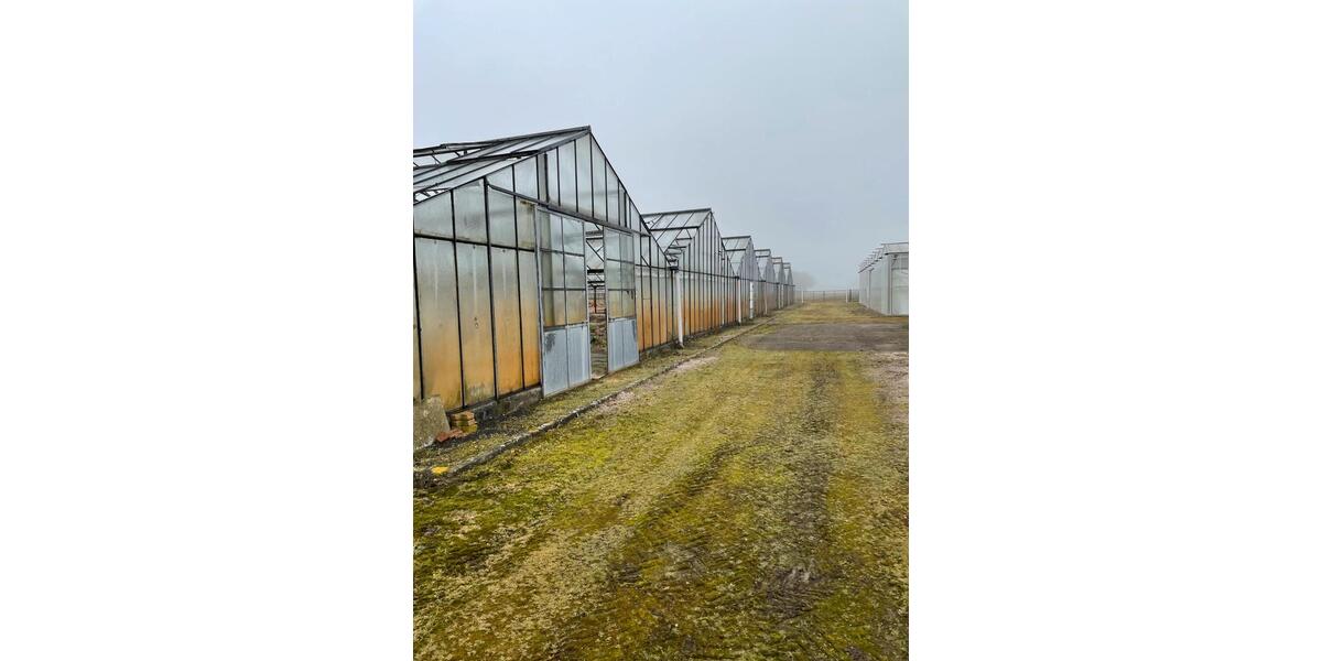 Gewerbeobjekt Großenkneten - 123&euro; | Angebot:24756305