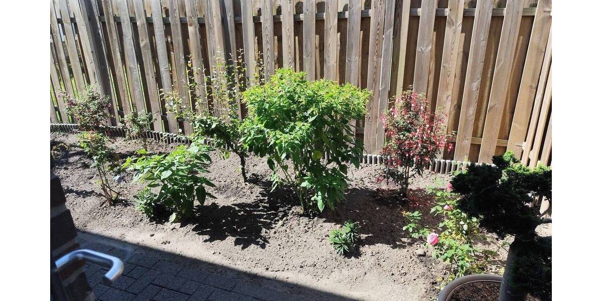 sehr gepflegte Doppelhaushälfte , 5 Jahre jung , von privat 4 zimmer