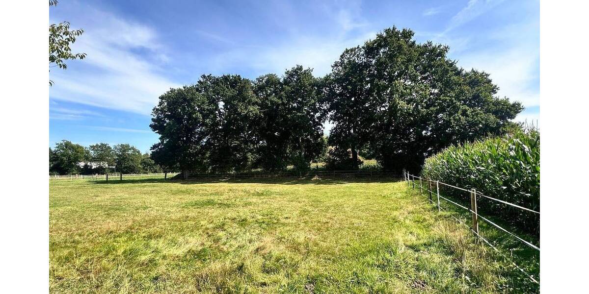 Mehrfamilienhaus, Wohnhaus Wiefelstede - 5 Zimmer, 179 m&sup2;, 879.000&euro; | Angebot:25740808