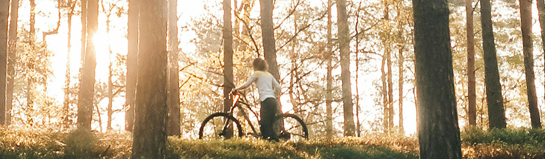 Radwege Ammerland & Oldenburger Land