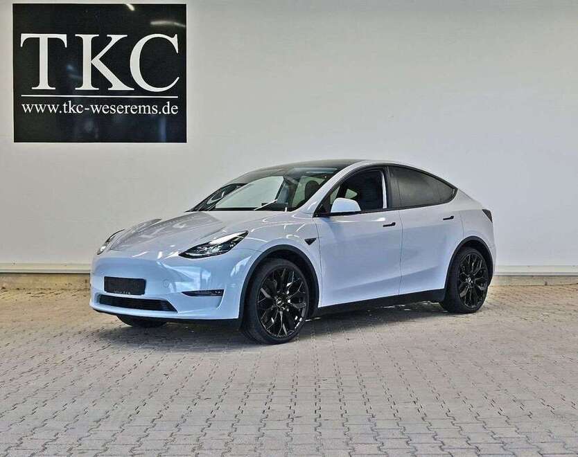 Model Y