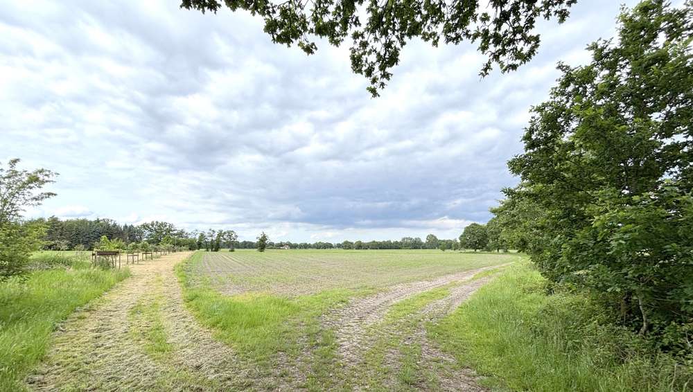 Grundstück Westerstede - 70.000&euro; | Angebot:26963538