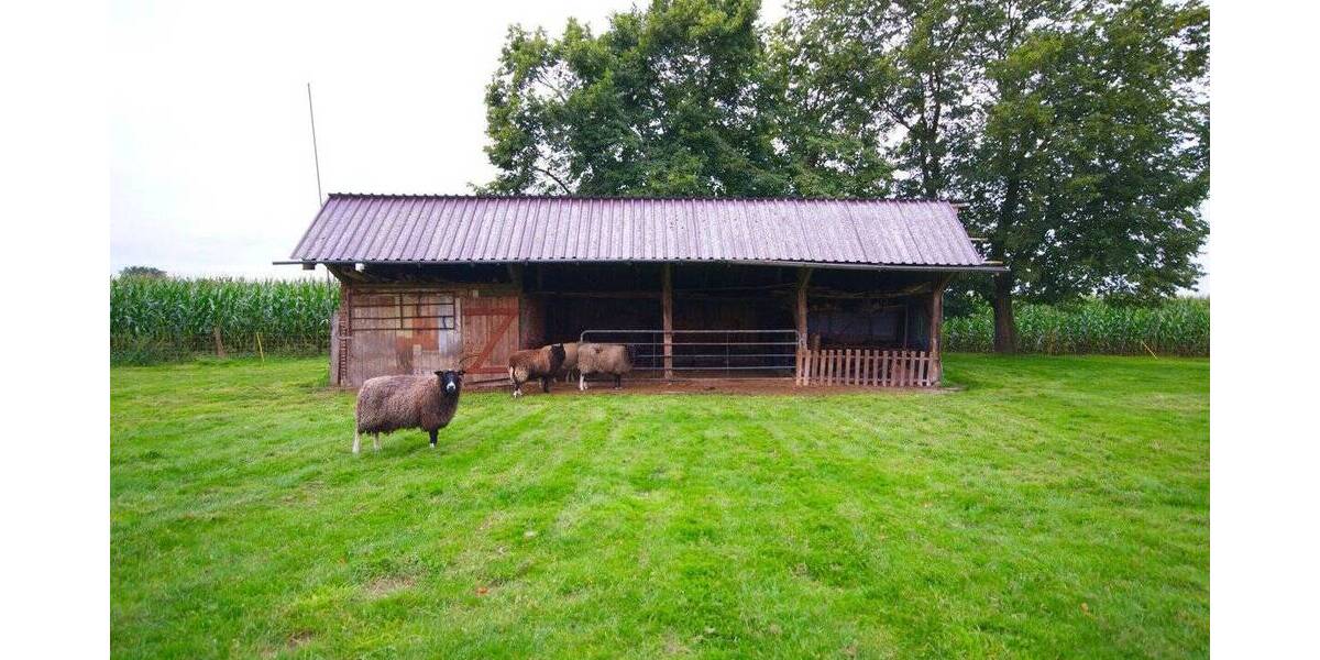 Mehrfamilienhaus, Wohnhaus Westerstede / Ocholterfeld Ocholterfeld - 4 Zimmer, 121 m&sup2;, 399.000&euro; | Angebot:25771391