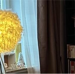 Wohnung zu vermieten in Rastede 1 zimmer