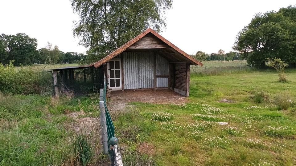 Einfamilienhaus Apen - 10 Zimmer, 350 m&sup2;, 240.000&euro; | Angebot:27195364