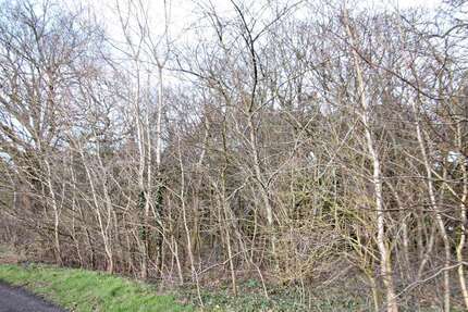 Grundstück zu verkaufen in Bad Zwischenahn 111.000 € 3004 m² zimmer