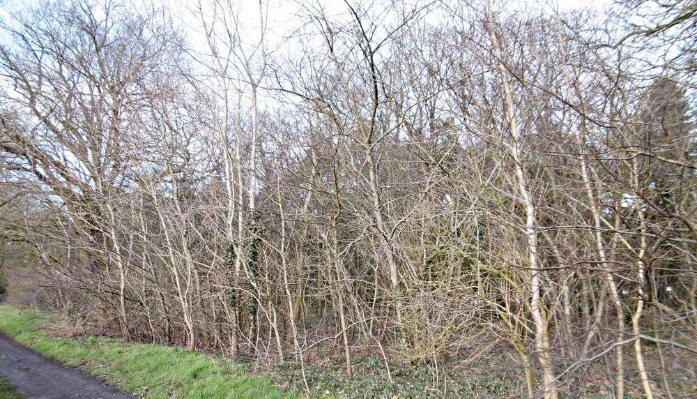 Grundstück zu verkaufen in Bad Zwischenahn 111.000 € 3004 m² zimmer