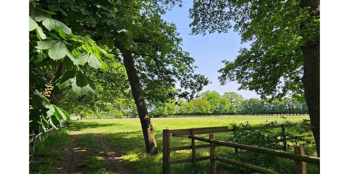 Mehrfamilienhaus, Wohnhaus Wardenburg Charlottendorf Ost - 6 Zimmer, 151 m&sup2;, 680.000&euro; | Angebot:26804445