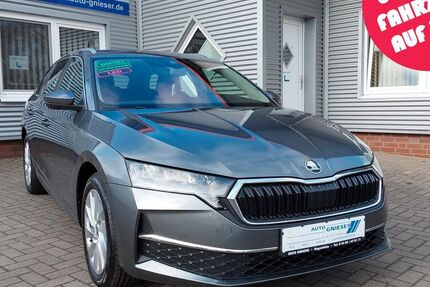 Skoda Octavia 12.000 km 30.900 &euro; Augustfehn 26689