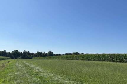 Grundstück in Edewecht 298.000 € 66754 m² zimmer