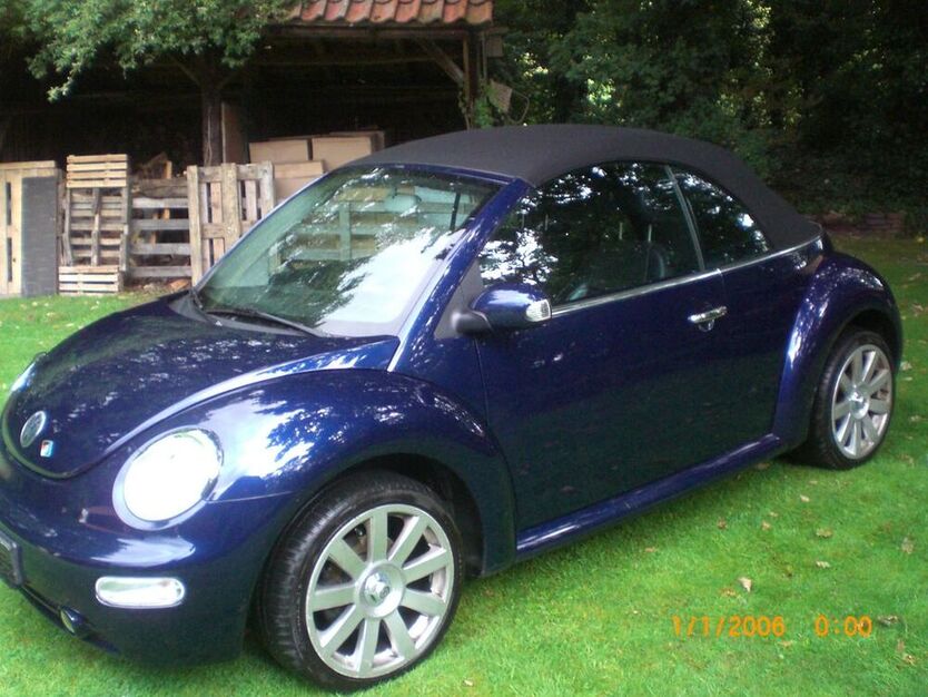 Beetle
