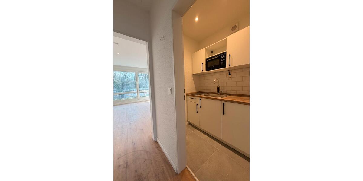 Helle 1-Zimmer-Wohnung mit Balkon, neuer Küche & Klimaanlage 1 zimmer