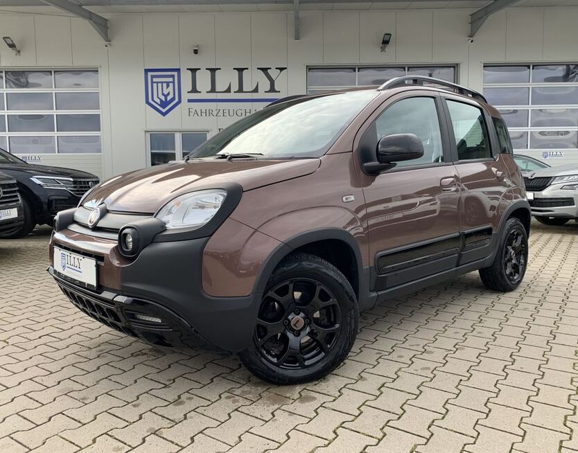 Panda