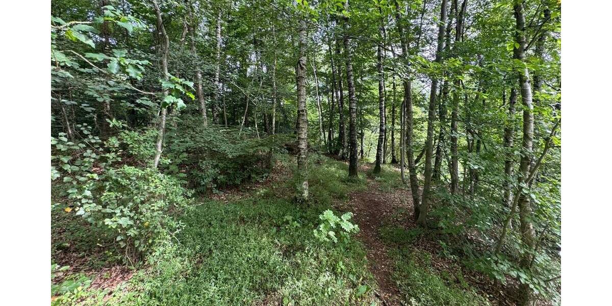 Grundstück Großenkneten Hosüne - 159.000&euro; | Angebot:25774126