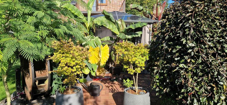 Etagenwohnung Schwanewede - 3 Zimmer, 134 m&sup2;, 1.210&euro; | Angebot:25842694