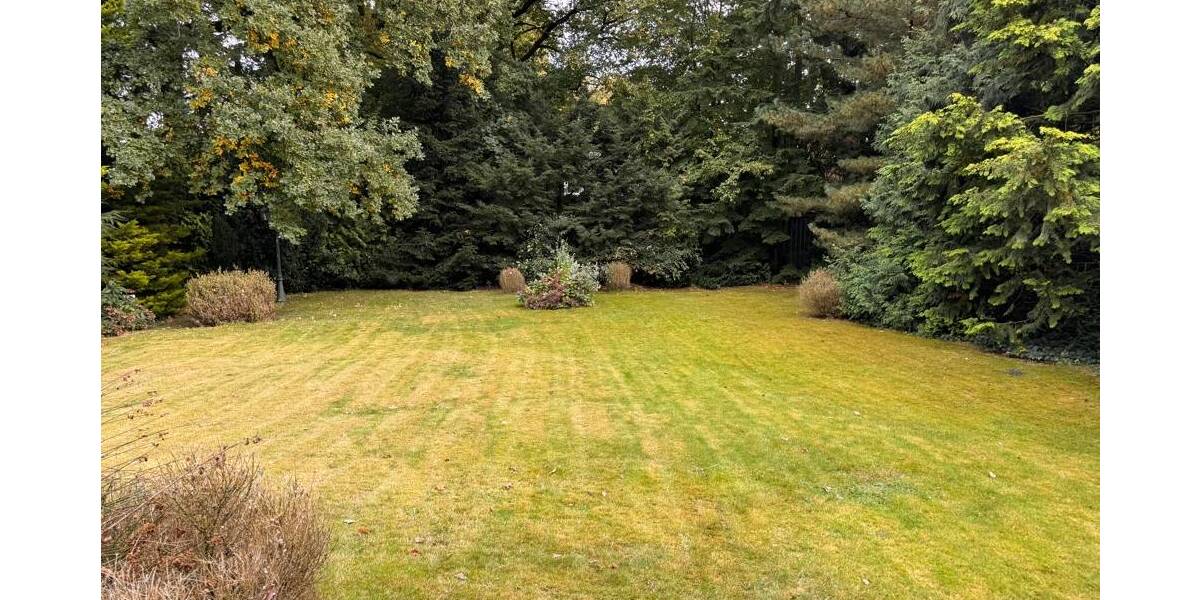 Mehrfamilienhaus, Wohnhaus Bösel - 1 Zimmer, 215 m&sup2;, 450.000&euro; | Angebot:25671922