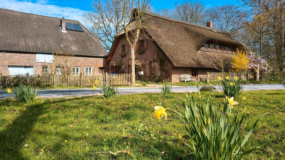 Einfamilienhaus Jade - 10 Zimmer, 315 m&sup2;, 395.000&euro; | Angebot:26321102