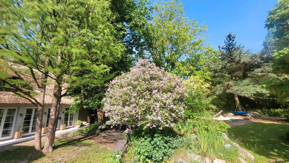 Einfamilienhaus Schwanewede - 10 Zimmer, 186 m&sup2;, 575.000&euro; | Angebot:26800179