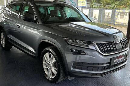 Skoda Kodiaq 250.000 km 19.300 € Bremen 28201