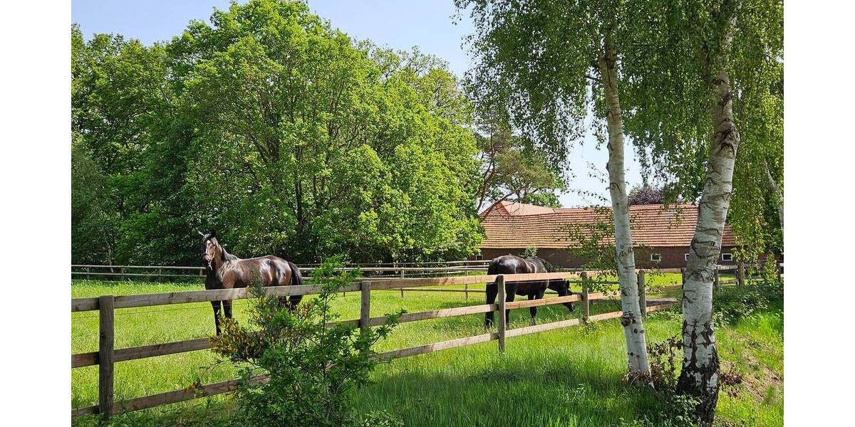 Mehrfamilienhaus, Wohnhaus Wardenburg Charlottendorf Ost - 6 Zimmer, 151 m&sup2;, 680.000&euro; | Angebot:26804445