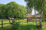 Mehrfamilienhaus, Wohnhaus Wardenburg Charlottendorf Ost - 6 Zimmer, 151 m&sup2;, 680.000&euro; | Angebot:26804445