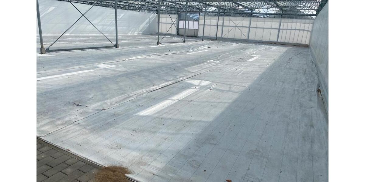 Gewerbeobjekt Großenkneten - 123&euro; | Angebot:24756305