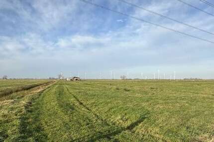 Grundstück in Elsfleth 569.000 € 177882 m²