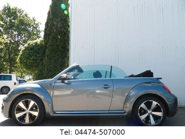 Beetle