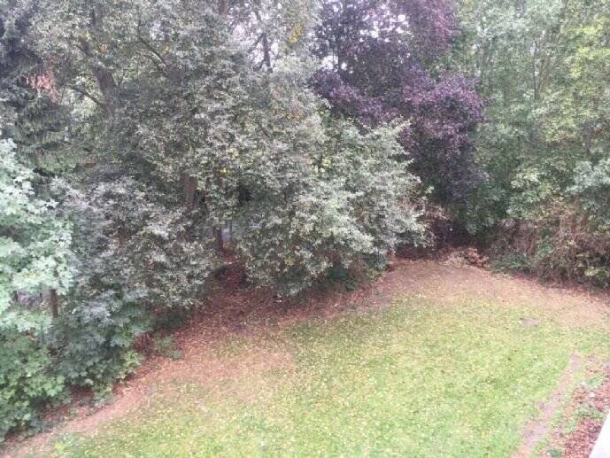 Etagenwohnung Lemwerder - 3 Zimmer, 60 m&sup2;, 500&euro; | Angebot:25796937