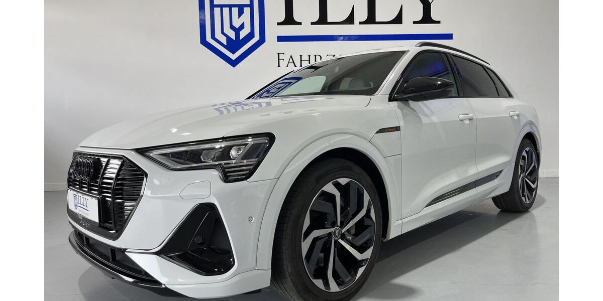 Audi e-tron 89.714 km 27.950 &euro; Hatten | Sandkrug 26209