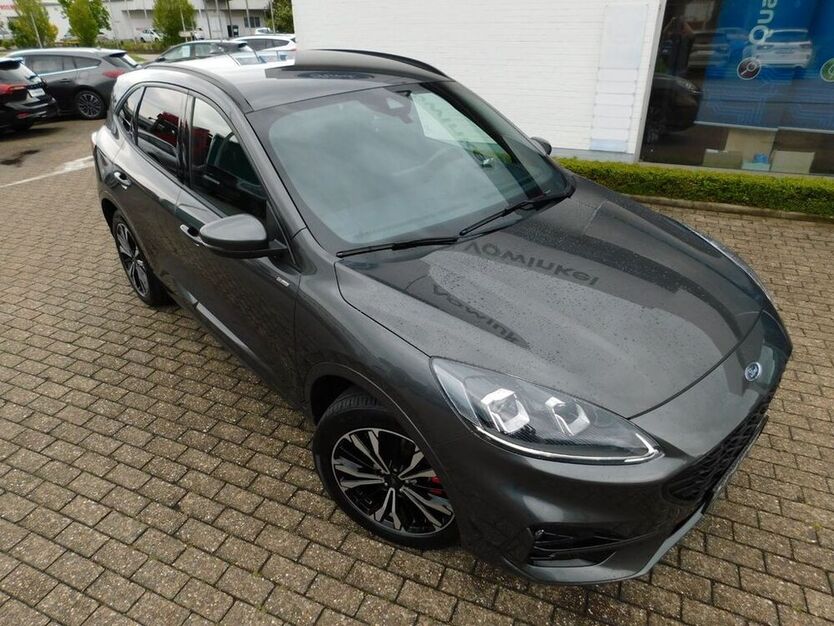 Kuga