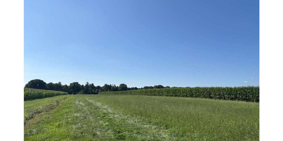 Grundstück Edewecht - 270.000&euro; | Angebot:22445343