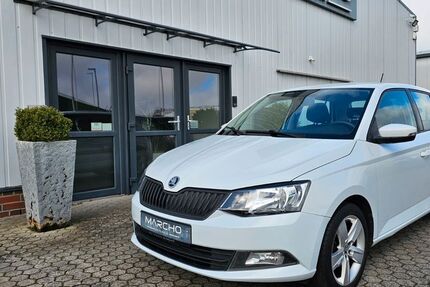 Skoda Fabia 249.321 km 3.950 &euro; Wardenburg 26203
