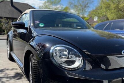 VW Beetle