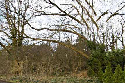 Grundstück in Petersfehn II 109.000 € 2504 m² zimmer