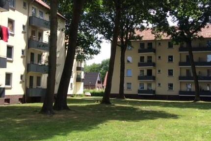 Wohnung Delmenhorst Düsternort - 1 Zimmer, 32 m&sup2;, 306&euro; | Angebot:24684621