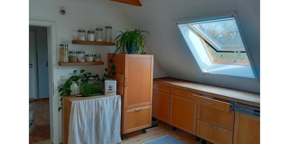 Dachgeschoßwohnung Rastede - 2 Zimmer, 65 m&sup2;, 786&euro; | Angebot:25645499