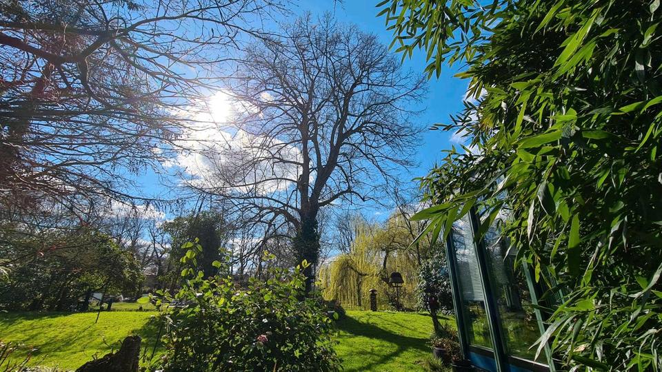 Ruhiges exclusives Wohnen an der Hunte - möbliert 2 zimmer