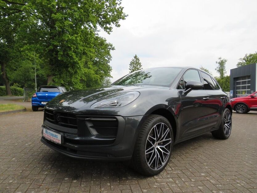 Macan