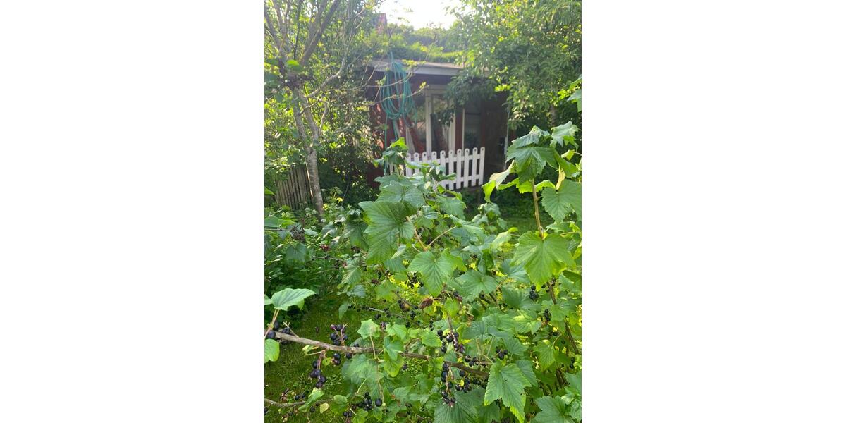 Einfamilienhaus Oldenburg Alexandersfeld - 8 Zimmer, 202 m&sup2;, 689.000&euro; | Angebot:26920855