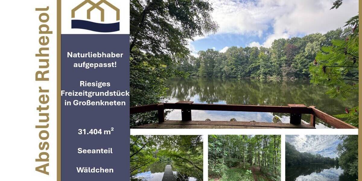 Exklusive Seeliegenschaft in Großenkneten 31.404m² Naturidyll mit privatem Steg und eigenem Wäldchen zimmer