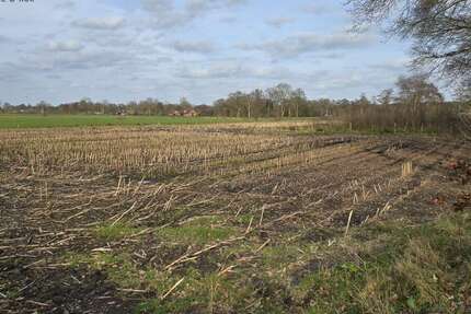 Grundstück Friesoythe - 77.450&euro; | Angebot:25934789