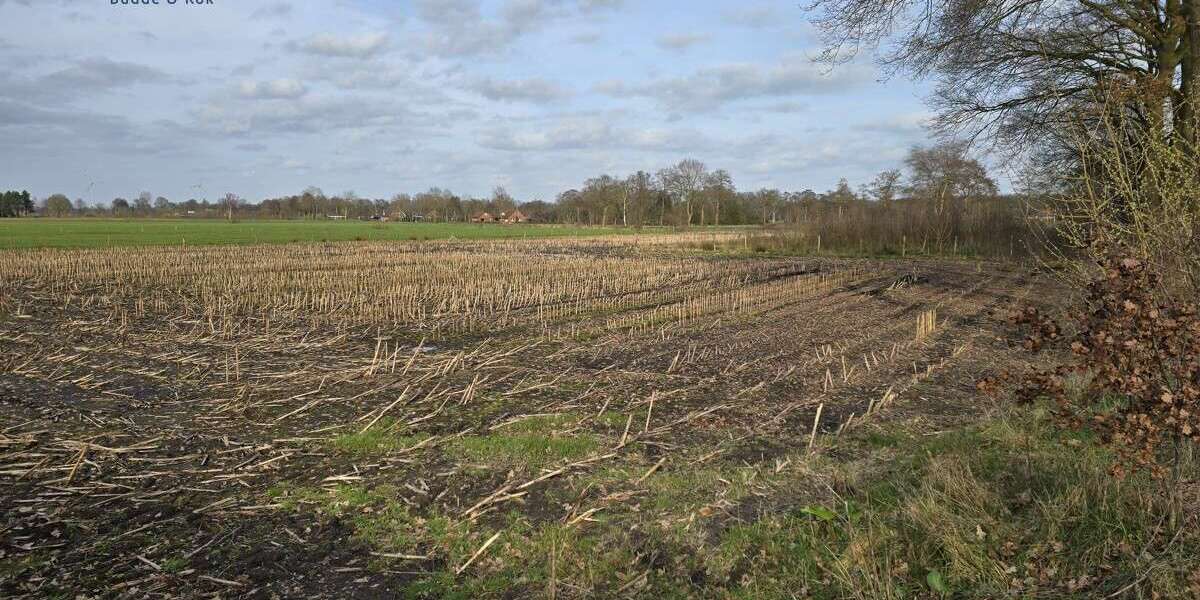 Grundstück Friesoythe - 77.450&euro; | Angebot:25934789