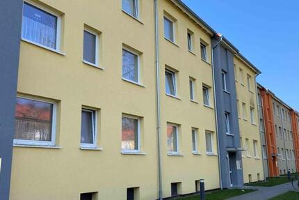 Renovierte 3-Zimmer-Wohnung mit Balkon 3 zimmer