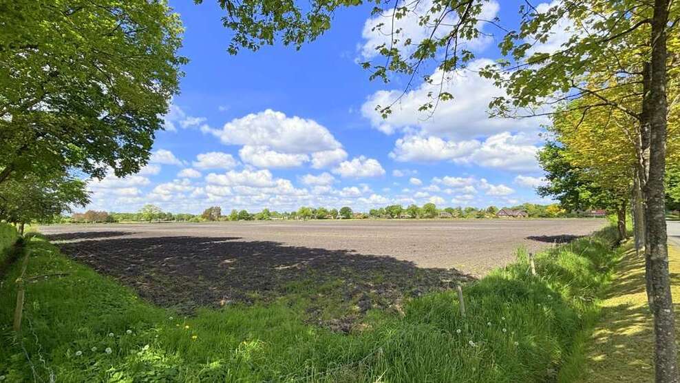 Grundstück in Bad Zwischenahn 412.736 € 51592 m²